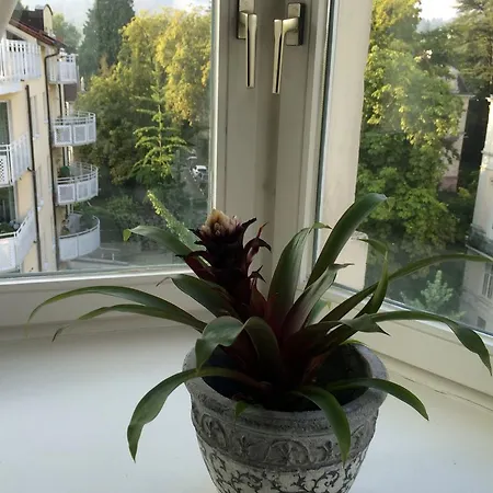 In Der Carola Apartment *